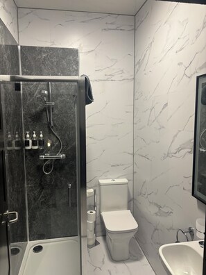 A modern bathroom with a glass-enclosed shower, a toilet, and a sink.
