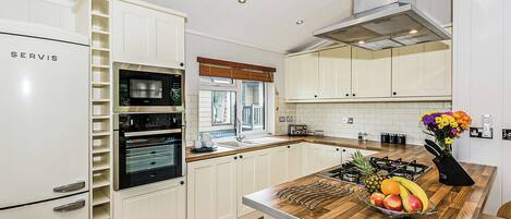 Fridge, oven, stovetop, dishwasher