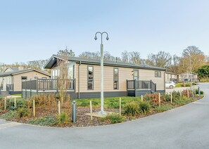 Imagen sin descripción, 5 de 7, botón