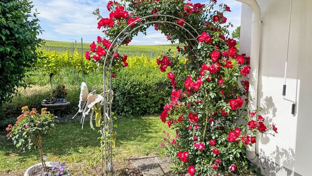 Ein Garten mit einem Metallbogen, der mit roten Blüten bewachsen ist, einer Schmetterlingsskulptur und einem kleinen Teich mit violetten Blumen.