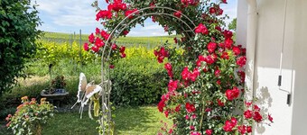 Weinbergblick by Interhome