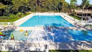 A rectangular swimming pool with a white deck and safety railings. - Jardin D'Azur by Interhome (Six Fours La Coudoulière)