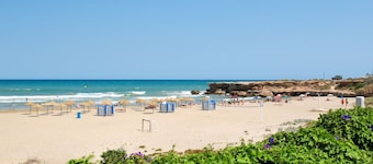 Palm Beach by Interhome