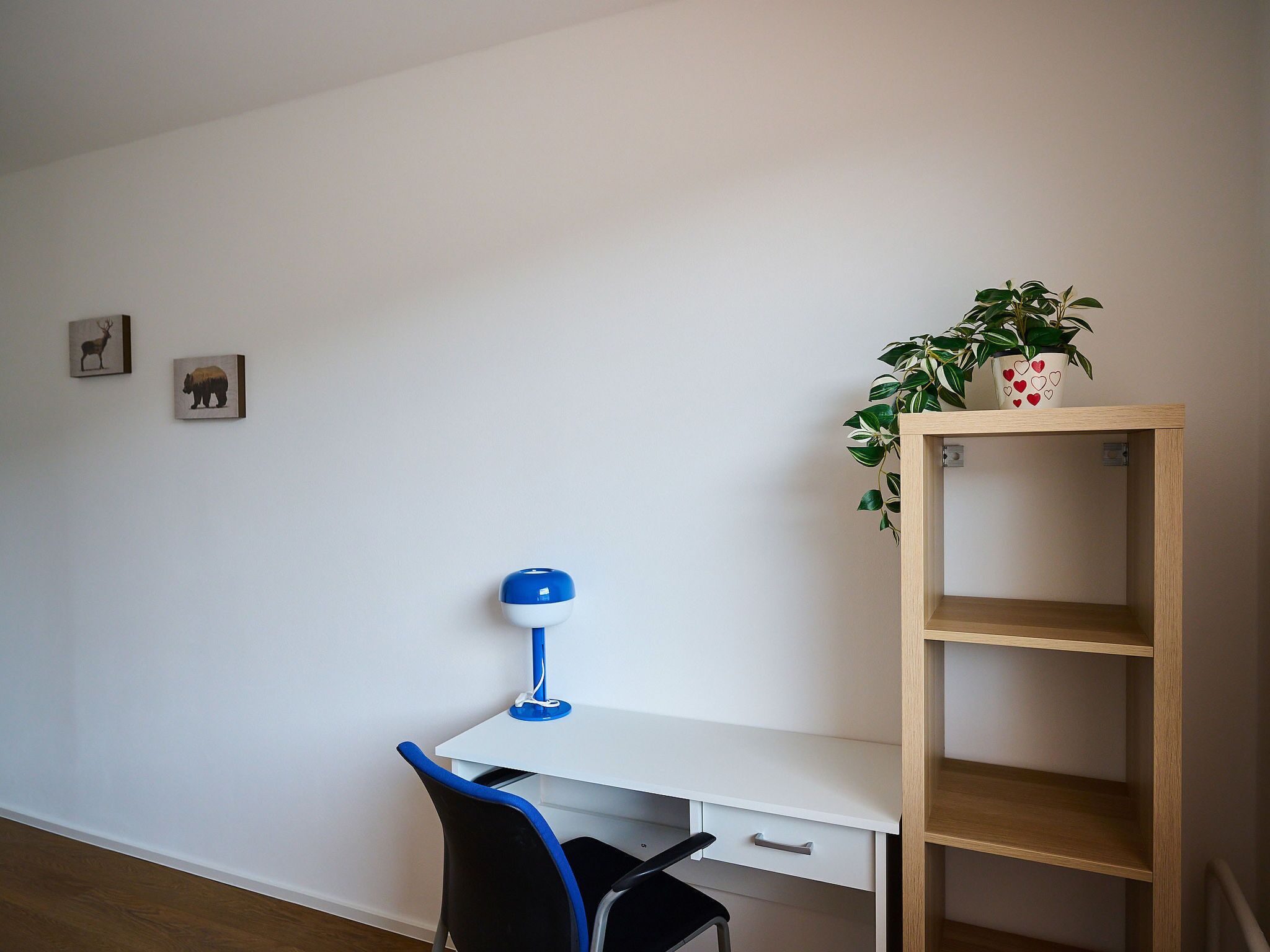 A room with a desk, chair, and a shelf with a plant.