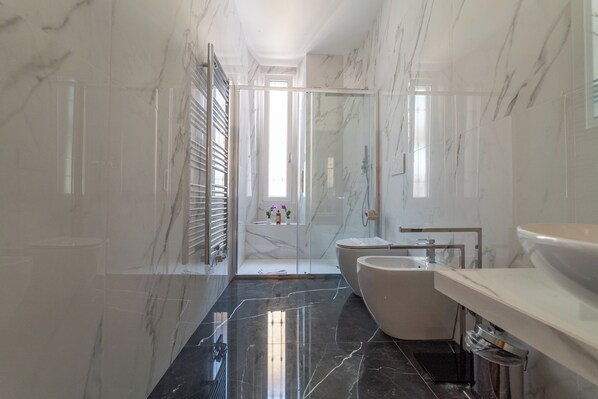 Shower, hair dryer, bidet, towels