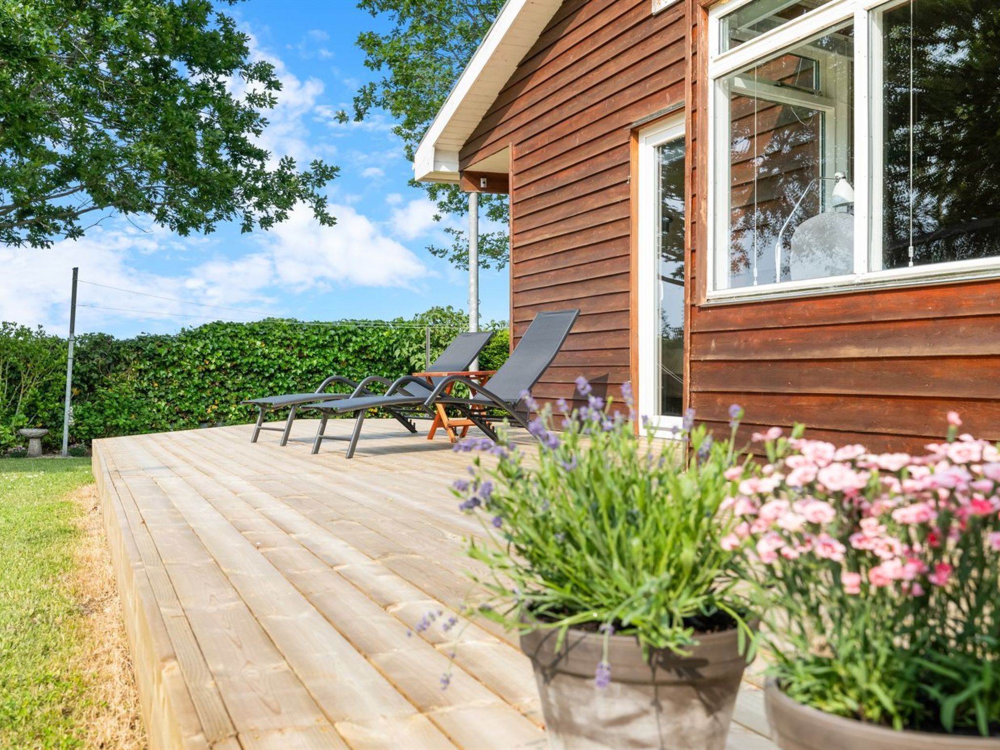 Een houten terras met ligstoelen en een bloeiende plant in een pot.