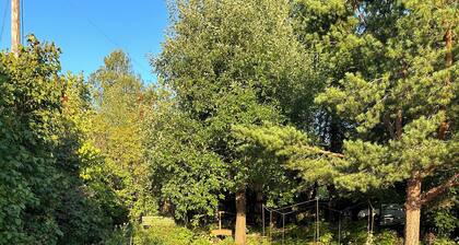Spacious Farmstead with Two Houses in Charming Dalarna