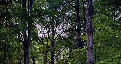 Whimsical Vermont Cabin w/Hot Tub & Mountain Views