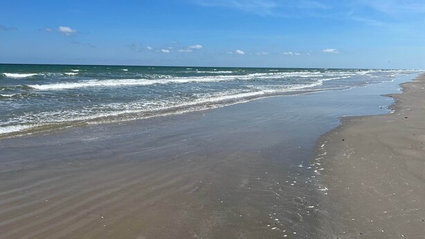 Ein Strand mit sanft anschwellenden Wellen unter blauem Himmel.