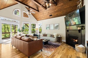 TV, fireplace, video games, books