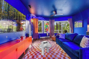 Télévision, cheminée, jeux vidéo, livres