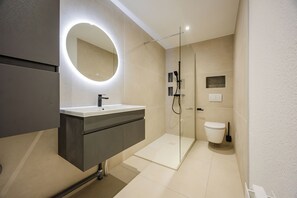 Ducha, secador de pelo, toallas y papel higiénico