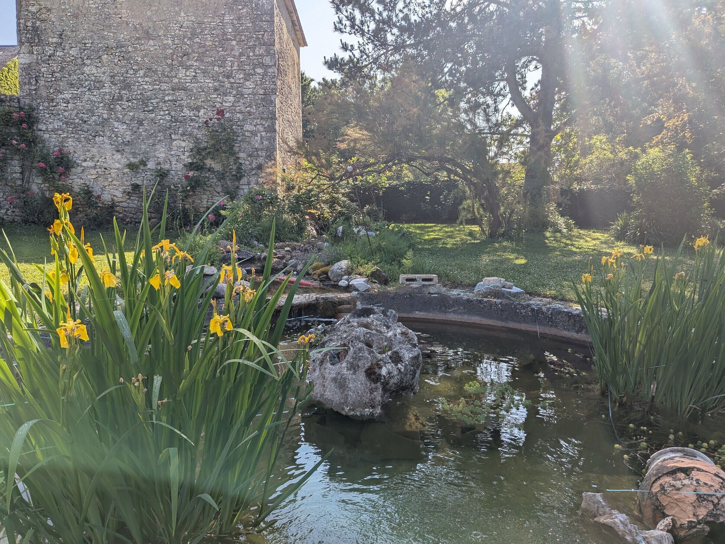 Áreas de la propiedad