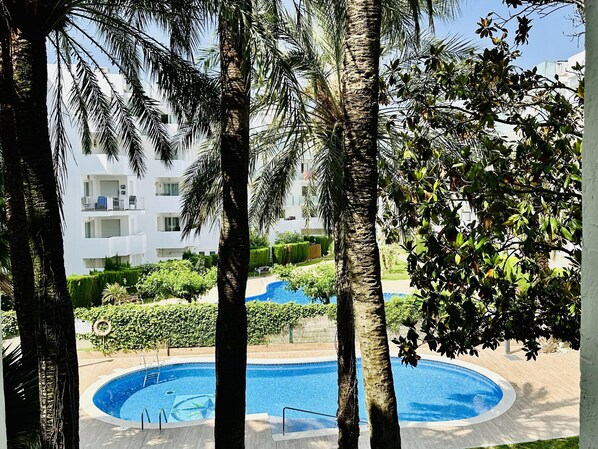 Un área de piscina con una piscina circular, rodeada de palmeras y un edificio blanco al fondo.