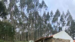 Exterior - The Stone Cottage Portugal Come and Lose Yourself in Nature (Obidos)