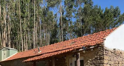 The Stone Cottage Portugal Come and Lose Yourself in Nature