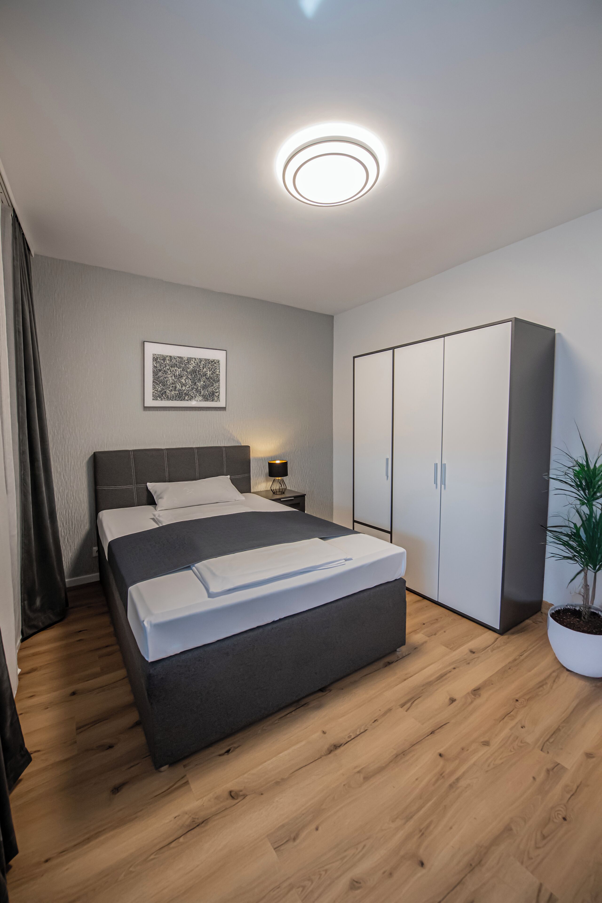 A modern bedroom with a bed, a wardrobe, a nightstand, and a potted plant.