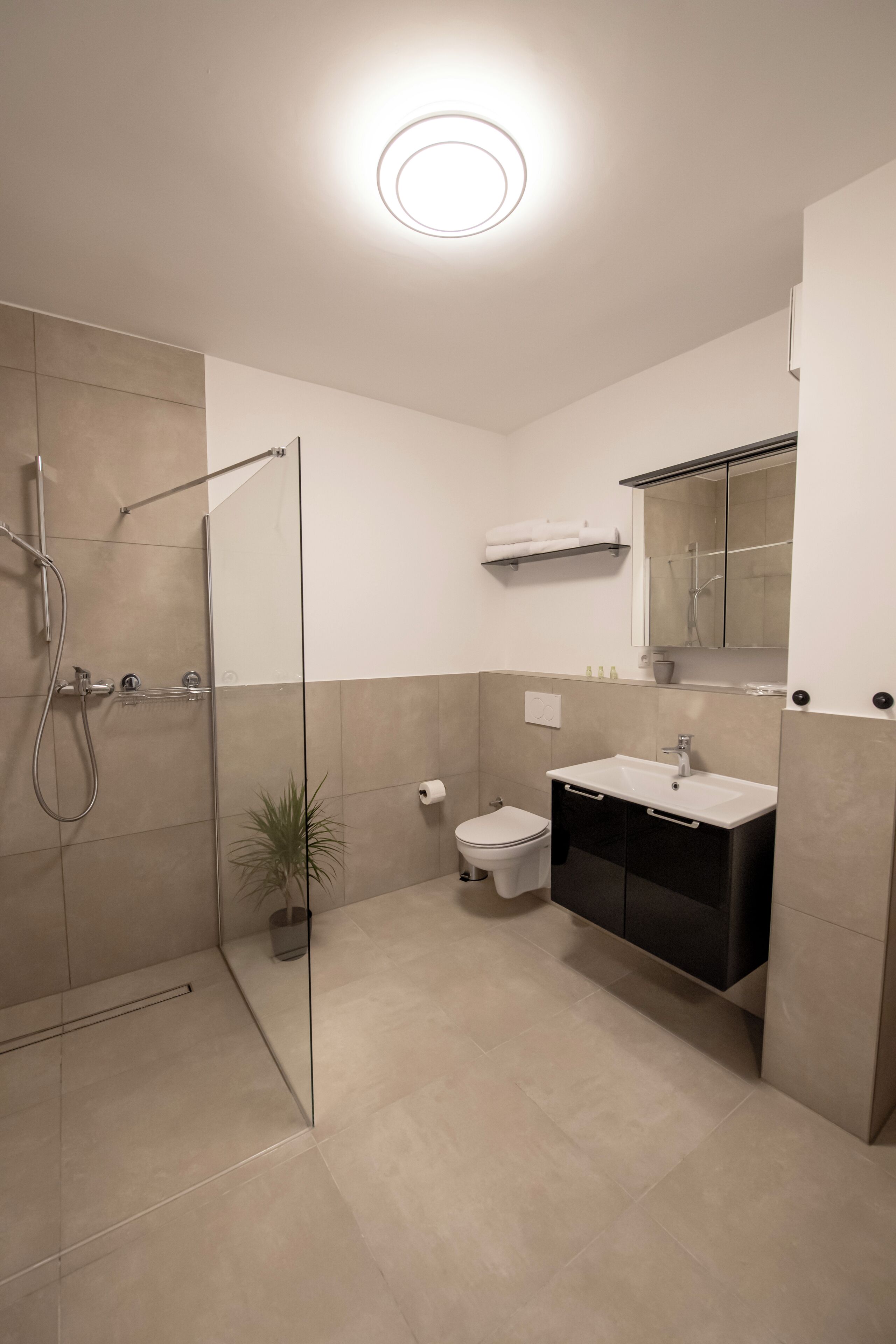 A modern bathroom with a glass shower enclosure, a toilet, a sink with a mirror, and a potted plant.