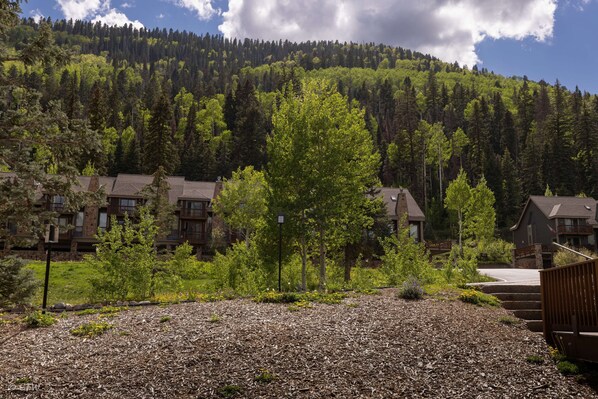 A residential area with houses, a forested hill in the background, and a gravel driveway.