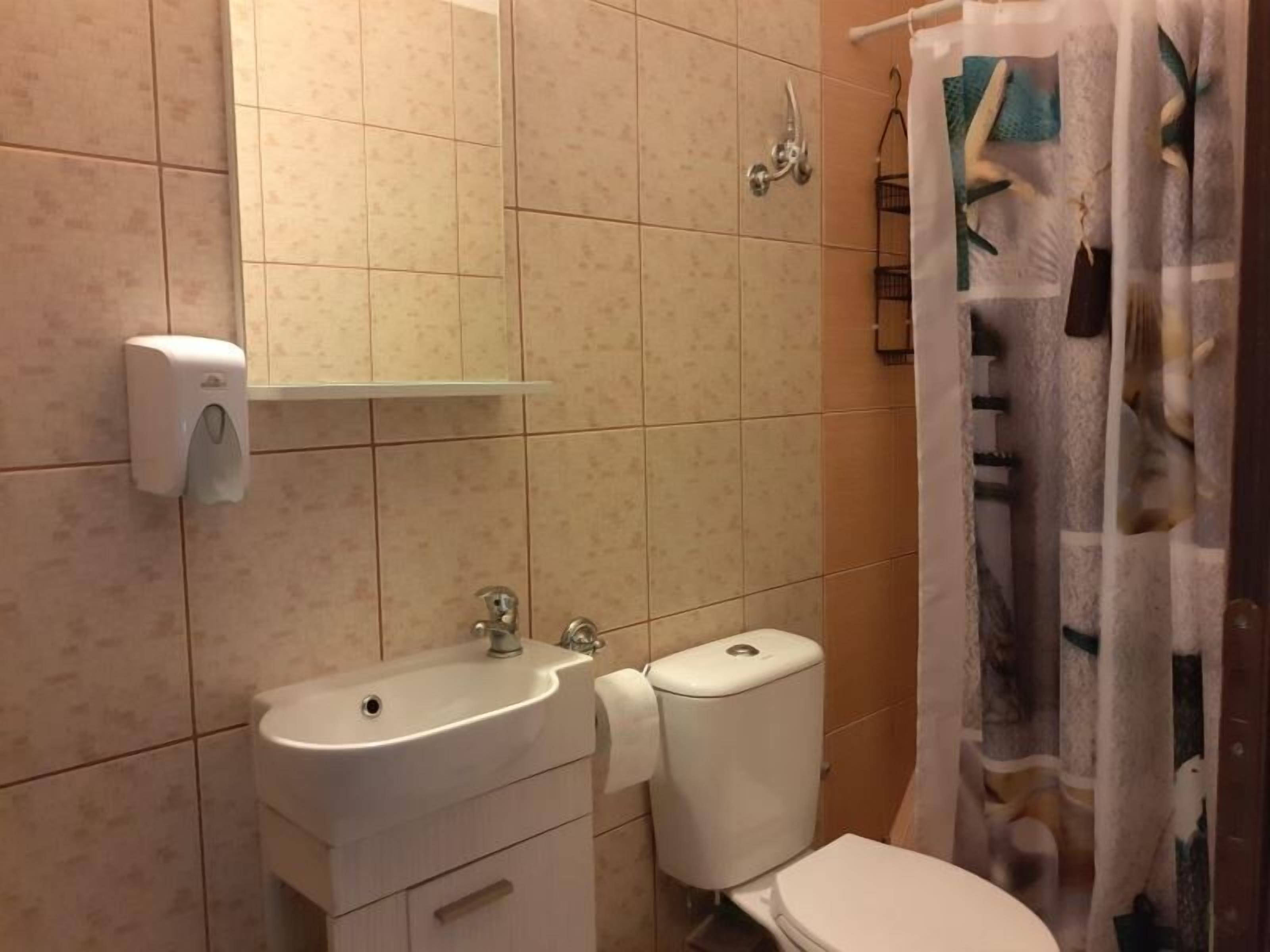 A bathroom with a sink, toilet, and shower curtain.