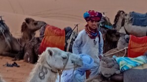 Paisatge desert amb dromadars i una persona.