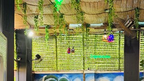 Una habitación con muebles de madera, un mural y plantas colgantes.