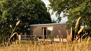 Eine moderne Hütte mit einer großen Glasdoor, umgeben von hohem Gras und Bäumen.