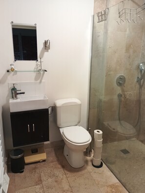 Shower, hair dryer, towels, soap