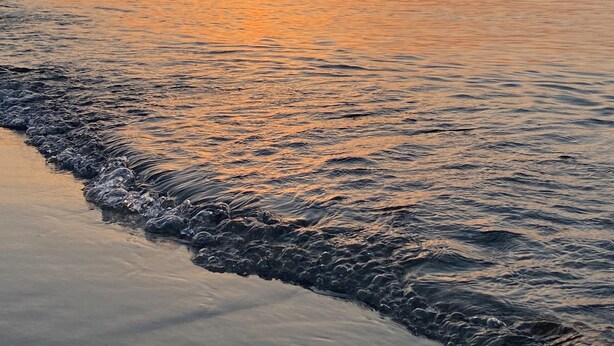 A beach at sunset with calm waters and a distant shoreline. - Cozy vacation apartment in a quiet location on the Prerower Strom (Prerow)