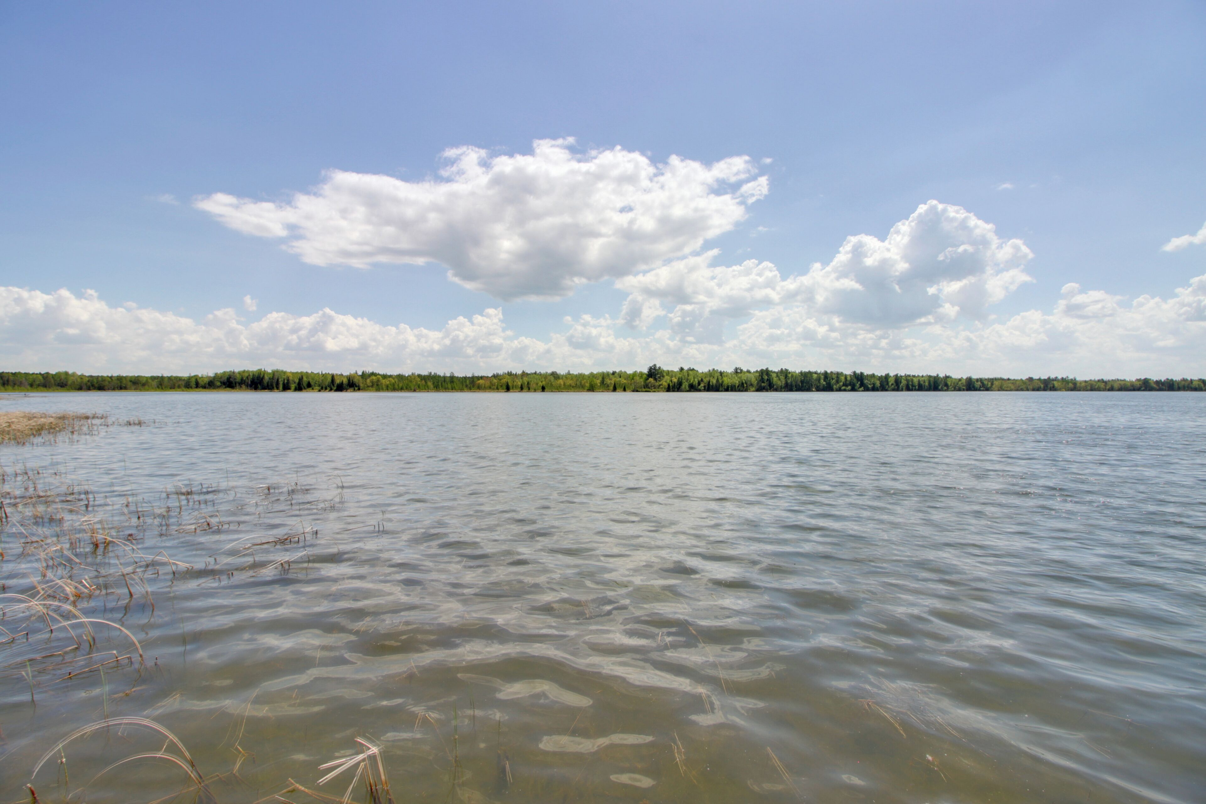 Ein ruhiger See unter blauem Himmel mit Bäumen in der Ferne.