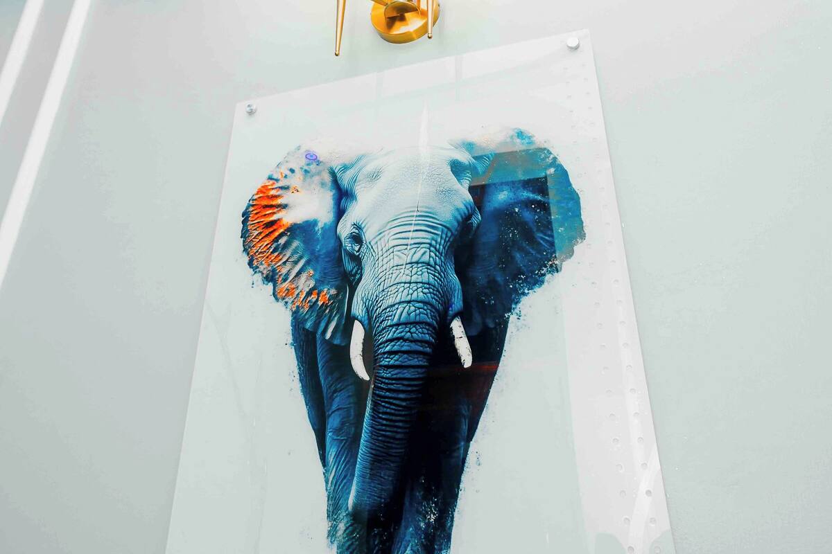Una obra de arte enmarcada con un elefante colgada en una pared.