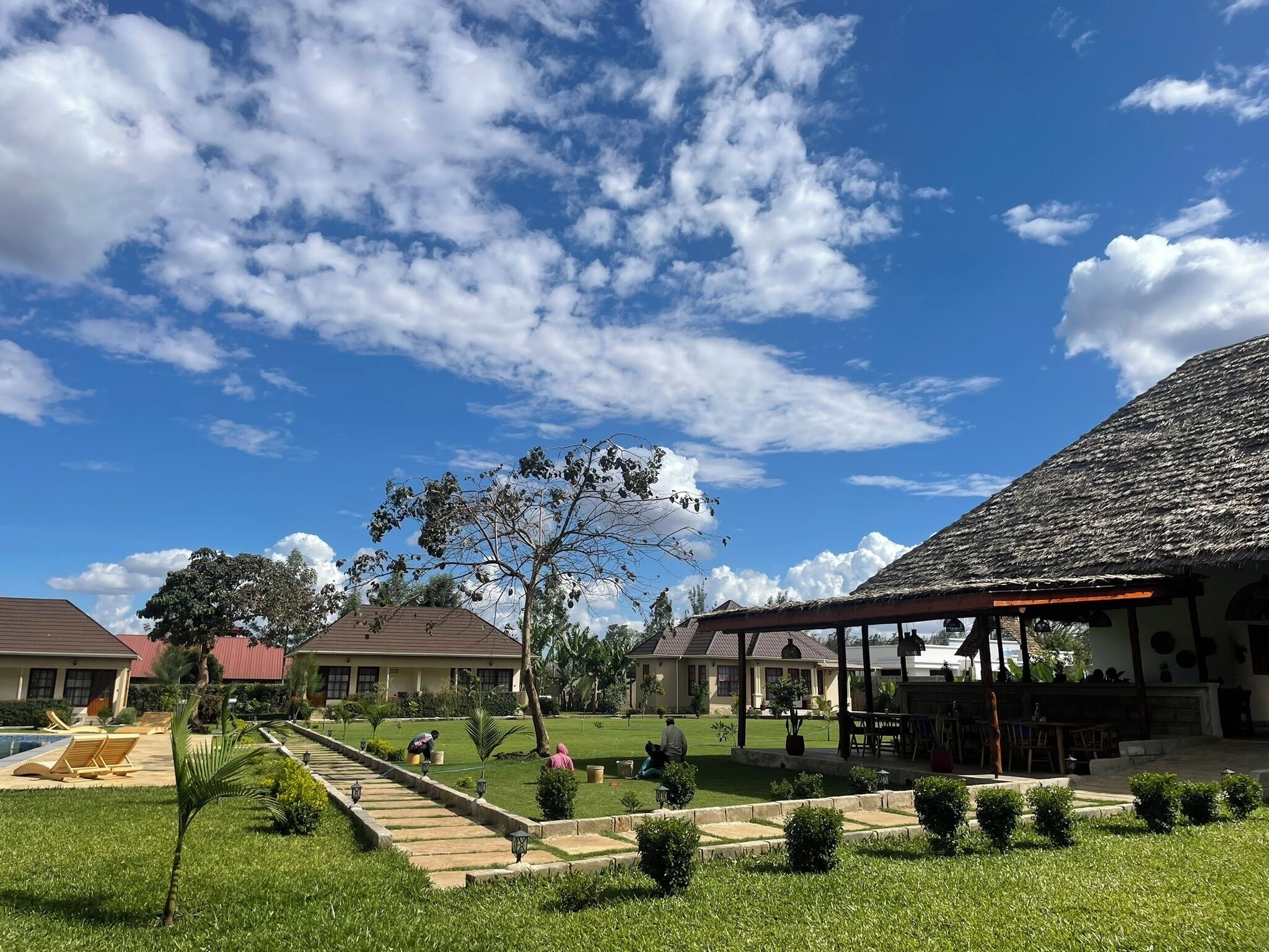 Jardín