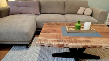 TV connectée, cheminée, livres