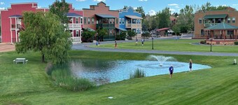 Balcony views, wild mustangs nearby, forest edge