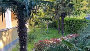 A garden with palm trees, flowering plants, and a pathway.