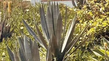 Detall de l'exterior