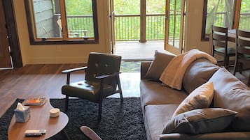 Smart TV, fireplace, books