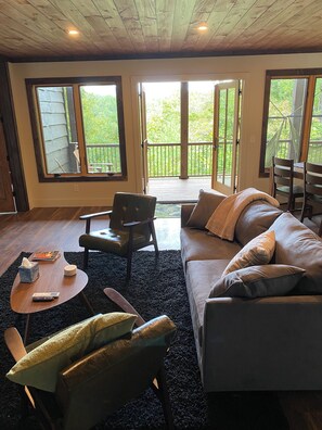 Smart TV, chimenea y libros 