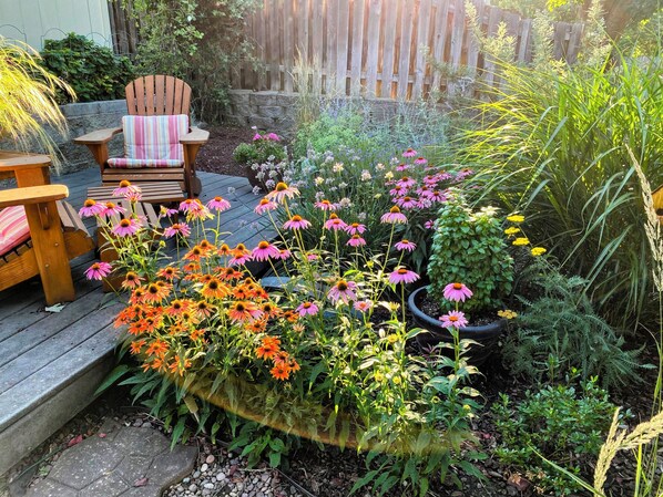 Terrasse/gårdhave