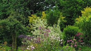 Un jardin luxuriant, parsemé de diverses plantes à fleurs et agrémenté d’une pergola en bois.