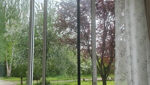 Une vue à travers une fenêtre avec des stores verticaux, un chemin de terre et des arbres aux feuilles vertes et rouges.