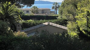Une villa située sur la côte, offrant une vue sur la mer, et entourée d’une végétation luxuriante et de palmiers.