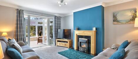 TV connectée, cheminée, lecteur de DVD, livres