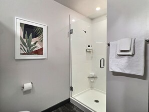 Hair dryer, towels, toilet paper