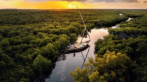 Een boot afgemeerd in een mangrovenbos, met een zonsondergang op de achtergrond.