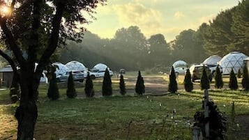 Ländliche Landschaft mit einer Reihe von kuppelförmigen Bauwerken, möglicherweise zur Unterkunft oder für Veranstaltungen, umgeben von Bäumen und einer Wiese.
