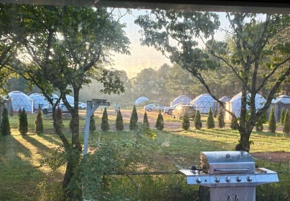 A view of a garden with a barbecue grill, trees, and a row of greenhouses in the background.