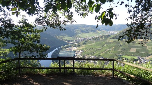 HAUS WEINGARTEN vacation apartment "Relax" directly on the vineyards