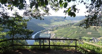 HAUS WEINGARTEN vacation apartment "Relax" directly on the vineyards