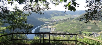 HAUS WEINGARTEN vacation apartment "Relax" directly on the vineyards